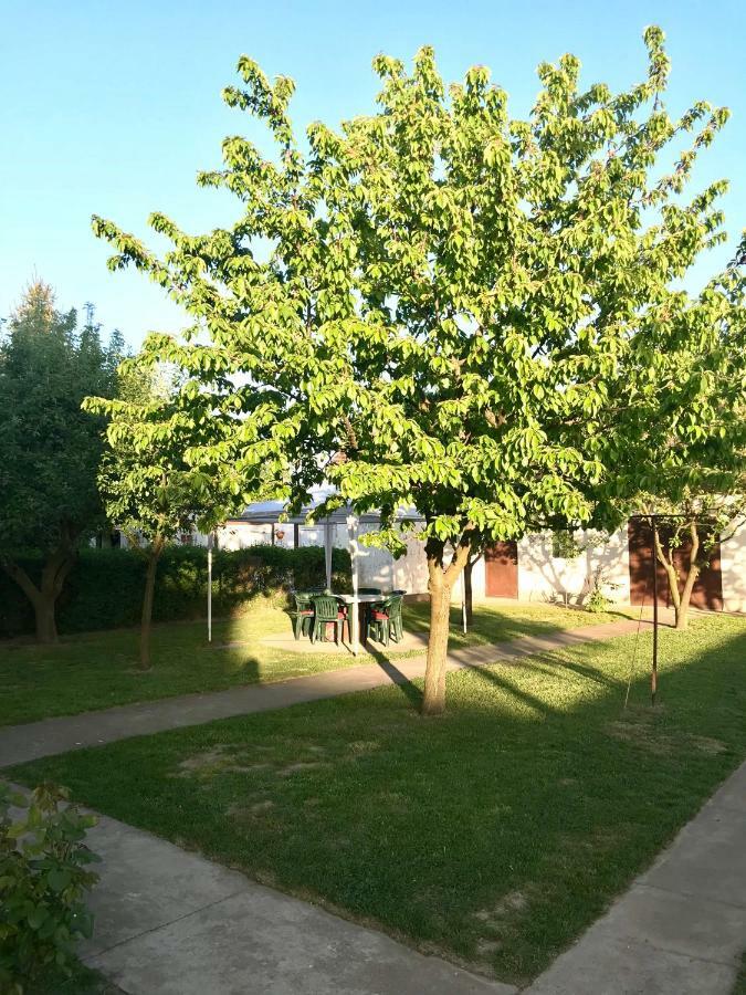 Apartmani Matosevic Ivankovo Екстериор снимка